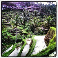 Photo taken at Tegallalang Rice Terraces by Fha K. on 7/4/2012