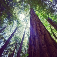 Photo taken at Muir Woods National Monument by melissa t. on 6/9/2012
