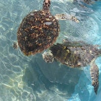 Photo taken at Isla Mujeres by motalicious on 9/9/2012