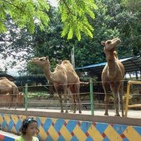Photo taken at Zoo Johor by Muhamad Jamili J. on 3/17/2012
