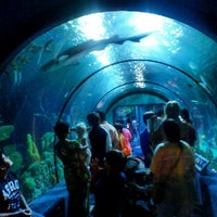 Moody Gardens Aquarium Pyramid - Galveston, TX