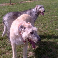Dog Park Membership In Los Angeles Dog Park Membership In Los Angeles