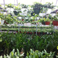 Joseph S Nursery Pearland Tx Photo Taken At Joseph 39 S Nursery By Nathan B On 5