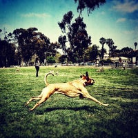 Grape Street Dog Park - Balboa Park - Grape St