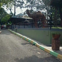 Photo taken at Zoo Johor by Chiko A. on 4/22/2012