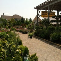 Bellingham Nursery Garden Center Flower In Photo Taken At Bellingham Nursery Amp Garden Center By Ian B On