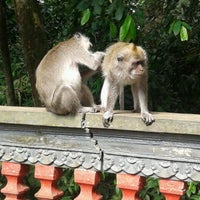 Photo taken at Alas Kedaton by Awik A. on 9/8/2012
