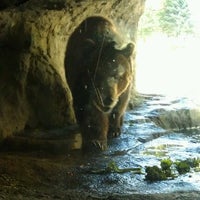Photo taken at Grizzly Bear Exhibit by Carol A. on 7/11/2012