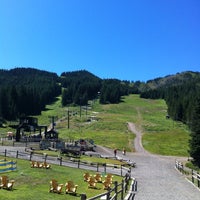 alpine slide