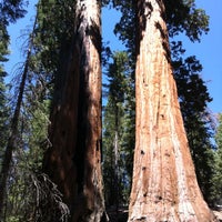 Photo taken at Kings Canyon National Park by Alena N. on 8/22/2012
