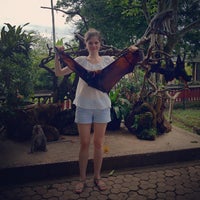 Photo taken at Alas Kedaton by Natalia S. on 5/4/2012