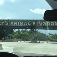 disney magic kingdom, animal kingdom parking