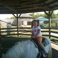 A maze n farmyard coupons