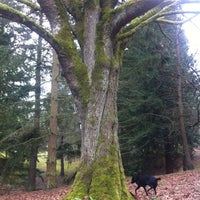 Photo taken at Woodland Park by Meghan D. on 2/19/2012
