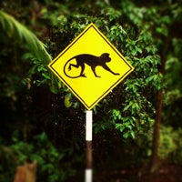 Taman Botani Negara Shah Alam - 51 tips