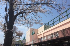 ビッグヨーサン 十日市場店