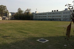 町田シバヒロ