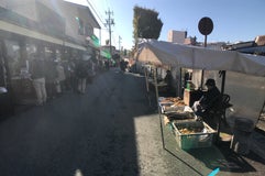 宮川朝市