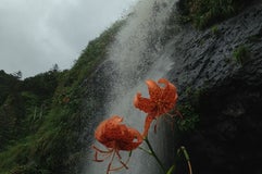 垂水の滝