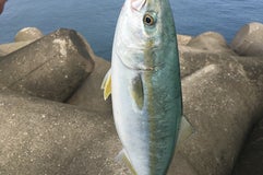 吹浦漁港