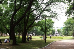 文庫の森