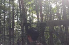 Forest Adventure Fuji