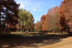 秋ヶ瀬公園