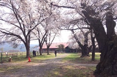 長野牧場 ふれあい広場