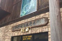 高千穂峡淡水魚水族館