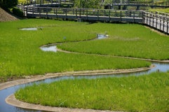 蟹ヶ谷公園