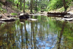 湯川公園