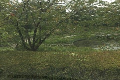 四季の里公園
