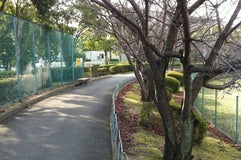 くすのき近隣公園
