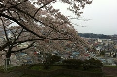 釣山公園