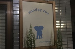 sunday zoo