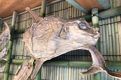 ひもの塾