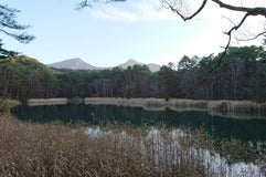 るり沼