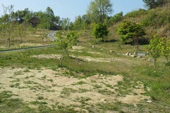 広島中央森林公園