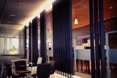 ANA LOUNGE - Satellite 4, Terminal 1