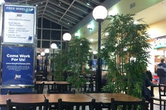 NAF Atsugi Food Court "The Greenhouse"