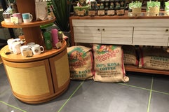 Honolulu Coffee 三井アウトレットパーク幕張店
