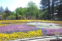花の文化園