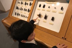 石川県ふれあい昆虫館
