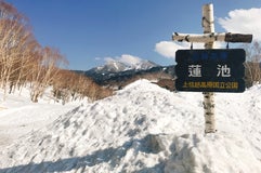 志賀高原 蓮池