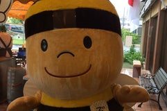 長坂養蜂場