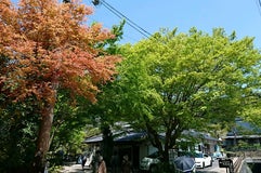 京都大原の味噌屋さん 味噌庵