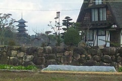めし処おふくろ亭 国分寺店