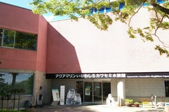 アクアマリンいなわしろカワセミ水族館