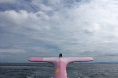 青海島めぐり観光遊覧船