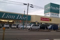 リオン・ドール 加茂店